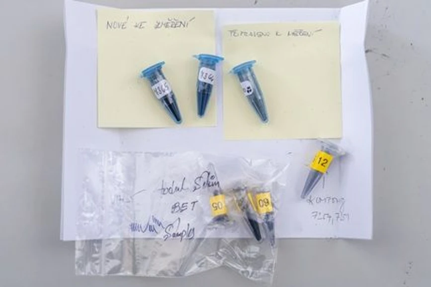 AVČR/Jana Plavec: Souboj světla a antibiotik. Dokážeme vyčistit vodu od škodlivých látek?: Vzorky nanostrukturních materiálů určené pro stanovené porozity pomocí fyzikální adsorpce. (CC)