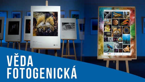 Věda fotogenická 2020