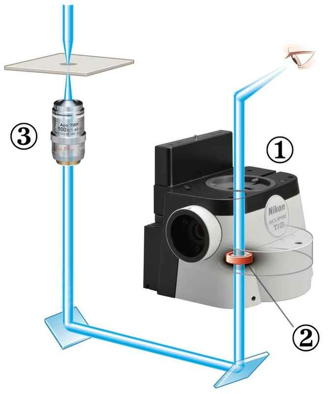 Altium International - Nikon Eclipse Ti2 - Schéma světelné dráhy: 1. Základní jednotka okuláru se zabudovaným fázovým kroužkem 2. Fázový kroužek 3. Objektiv bez fázového kroužku