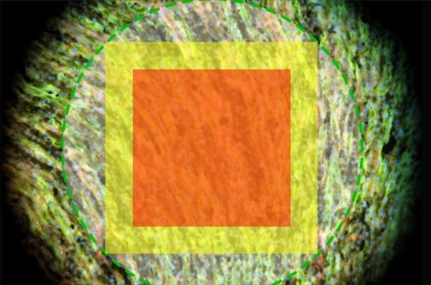 Altium International: Nikon Eclipse Ti2