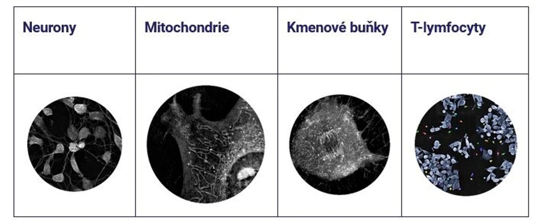 Altium International: Spolehlivá, multiplexovaná data s vysokým obsahem informací získaná z živých, neznačených buněk (Nanolive 3D Cell Explorer 96focus mikroskop)