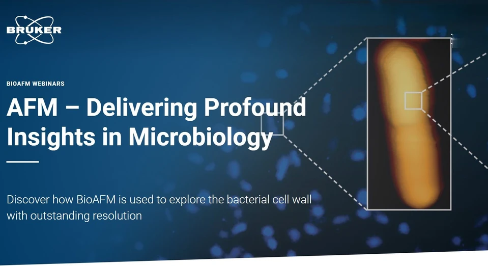 Bruker: AFM – Delivering Profound Insights in Microbiology