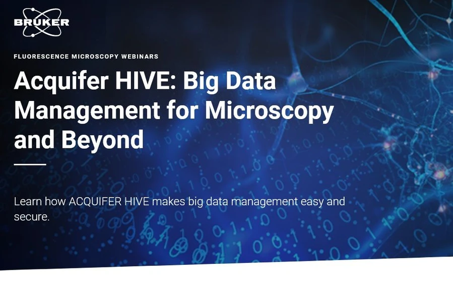 Bruker: Acquifer HIVE: Big Data Management for Microscopy and Beyond