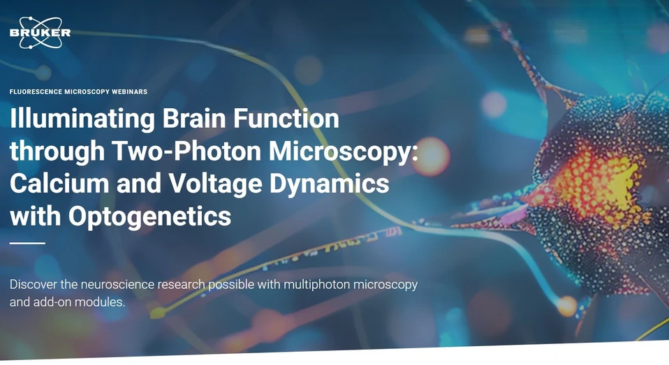Bruker: Illuminating Brain Function through Two-Photon Microscopy: Calcium and Voltage Dynamics with Optogenetics