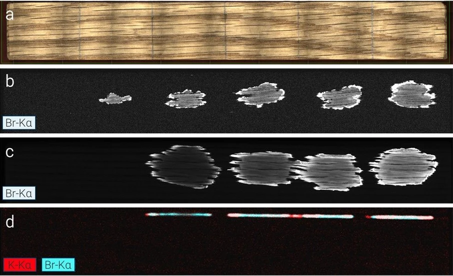 Bruker: Oak wood mock-ups with varying amounts of non-poisonous KBr solution to study penetration properties of pesticides in wood: (a) VIS; (b) Br-Kα, variation of amount at same concentration; (c) Br-Kα, varying concentration at same amount; (d) Cross-section through application. M4 TORNADO, 50 kV, 600 µA, 20 µm spot, 60 µm pixel, 10 ms/px, 2x 60 mm2 SDD.