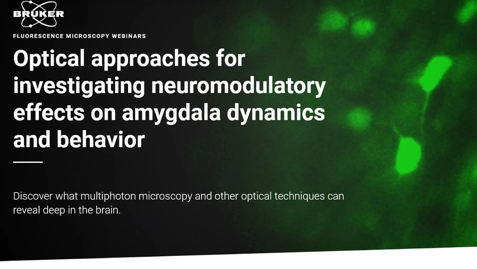 Bruker: Optical approaches for investigating neuromodulatory effects on amygdala dynamics and behavior