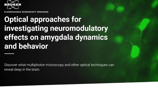 Optical approaches for investigating neuromodulatory effects on amygdala dynamics and behavior