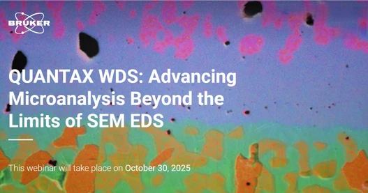 QUANTAX WDS: Advancing Microanalysis Beyond the Limits of SEM EDS