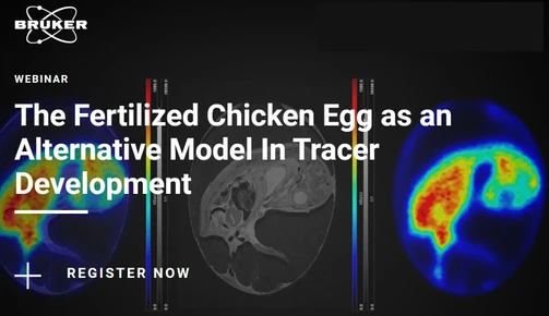 The Fertilized Chicken Egg as an Alternative Model In Tracer Development