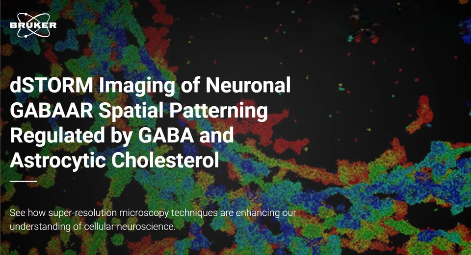 Bruker: dSTORM Imaging of Neuronal GABAAR Spatial Patterning Regulated by GABA and Astrocytic Cholesterol