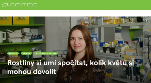 Rostliny si umí spočítat, kolik květů si mohou dovolit