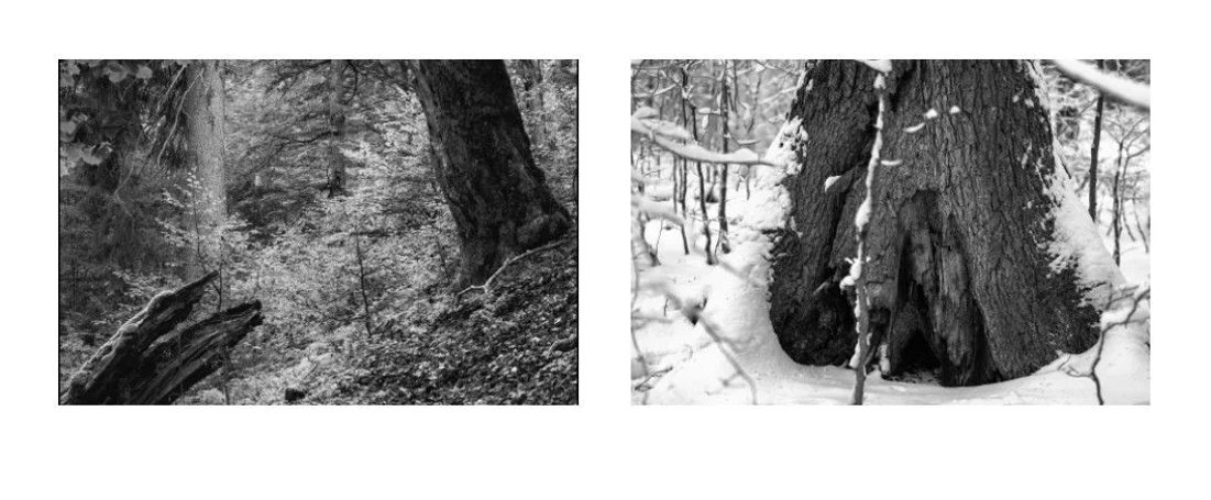 Jakub Kopecký Plášil: K analogové či filmové fotografii se Plášil vrátil po letech zcela digitální tvorby.