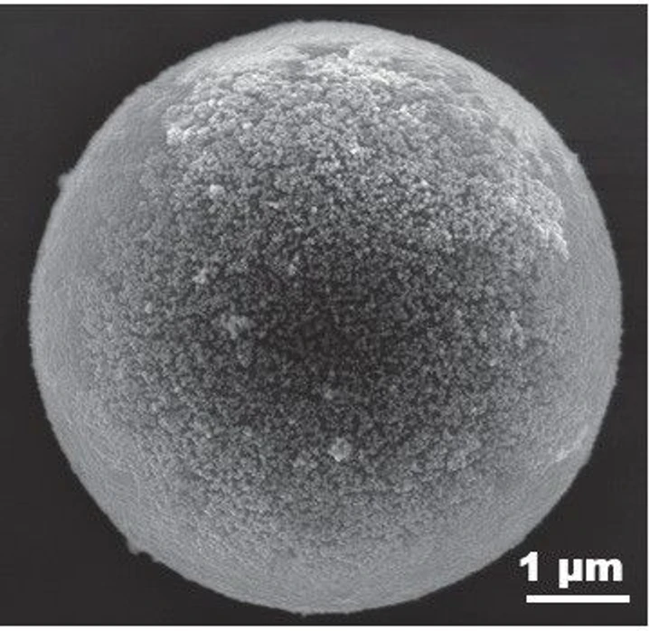Lucie Březinová: Obr.1. SEM snímek polystyrenové kuličky pokryté stříbrnými nanočásticemi