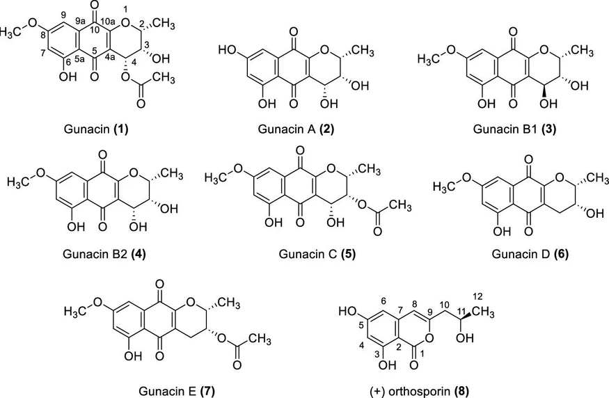 MBÚ AV ČR: Přehled chemických látek objevených z houby Exobasidium