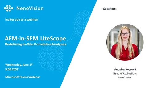AFM-in-SEM LiteScope: Redefining In-Situ Correlative Analyses