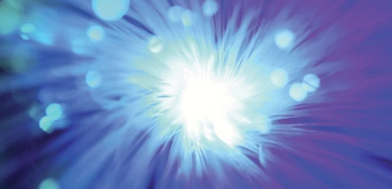 Bruker MultiRAM FT-Ramanův spektrometr