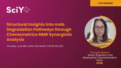 Structural Insights into mAb Degradation Pathways through Chemometrics‑NMR Synergistic Analysis