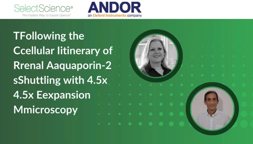 The Cellular Itinerary of Renal Aquaporin-2 Shuttling with 4.5x Expansion Microscopy