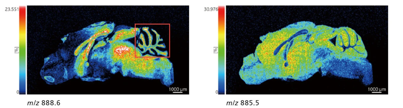 Shimadzu: Výsledky měření celých mozkových řezů v negativním režimu