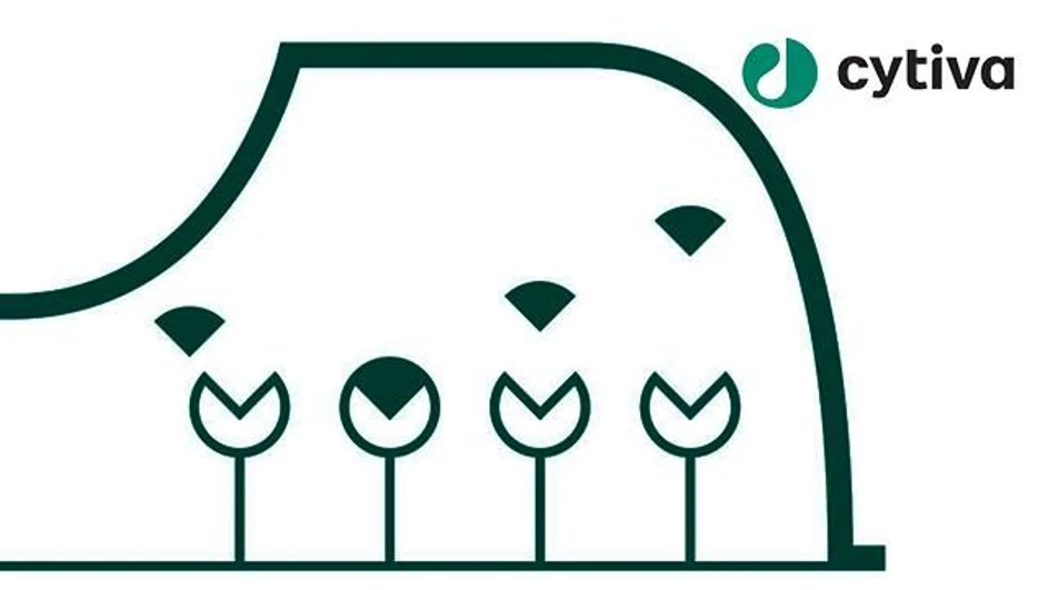 Technology Networks: Lateral Flow Assays: Characterizing Antibodies Using SPR Technology