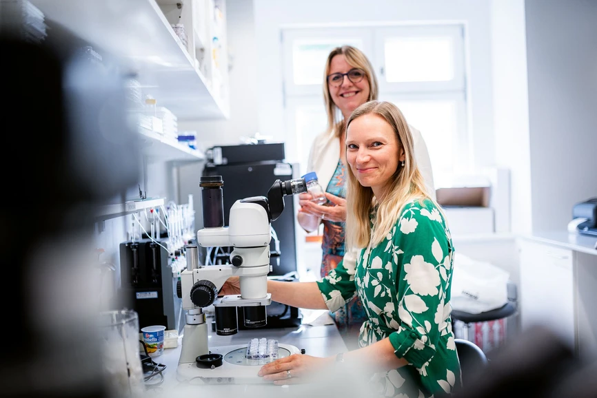 ÚOCHB/Dr. Aleš Buček: Termití kamikadze chrání kolonii pomocí zvláštního enzymu. Do jeho tajů pronikli vědci z ÚOCHB_Dr. Jana Škerlová (vpředu), postdoktorandka ve skupině doc. Pavlíny Maloy Řezáčové