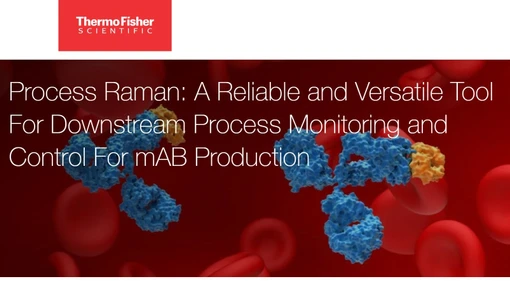 Process Raman: A Reliable and Versatile Tool For Downstream Process Monitoring and Control For mAB Production