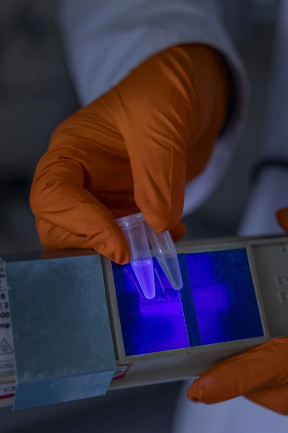 UK Forum/Veronika Vachule Nehasilová: Martin Volek: Z doktorátu budu těžit celý život