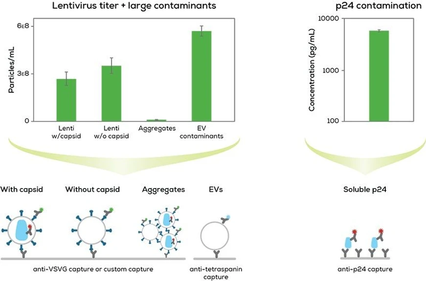 Unchained Labs Leprechaun: Odhal kontaminanty.