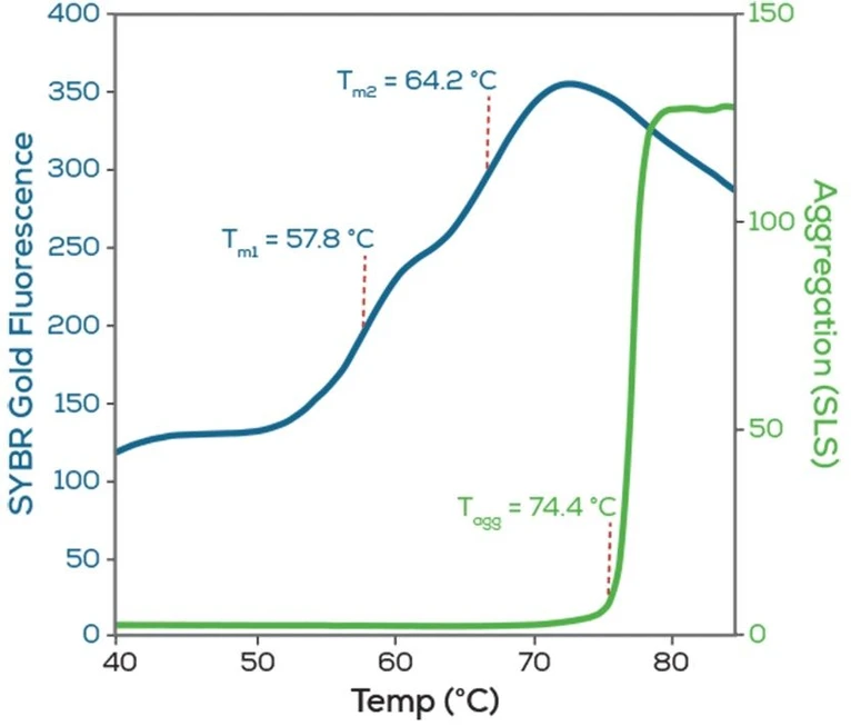 Unchained Labs Uncle: Stabilita AAV kapsid.