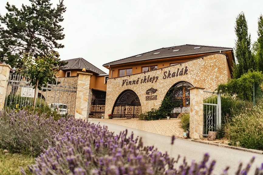 Worskhop Speciační a prvková analýza 2025