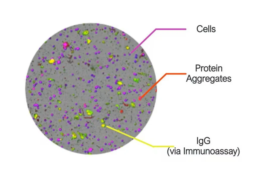 Waters: Systém Aura+ – Buňky, proteinové agregáty a igG (prostřednictvím imunotestu).