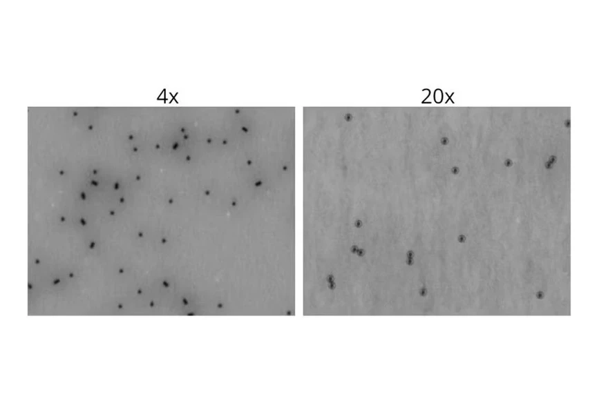 Waters: Systém Aura+ – Rychlé rozlišení a spočítání buněk oproti Dynabeads™, kvantifikace degradace polysorbátu a další.