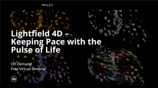 Lightfield 4D – Keeping Pace with the Pulse of Life