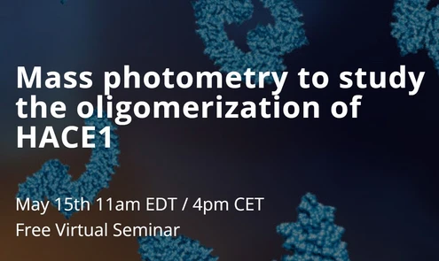 Mass photometry to study the oligomerization of HACE1