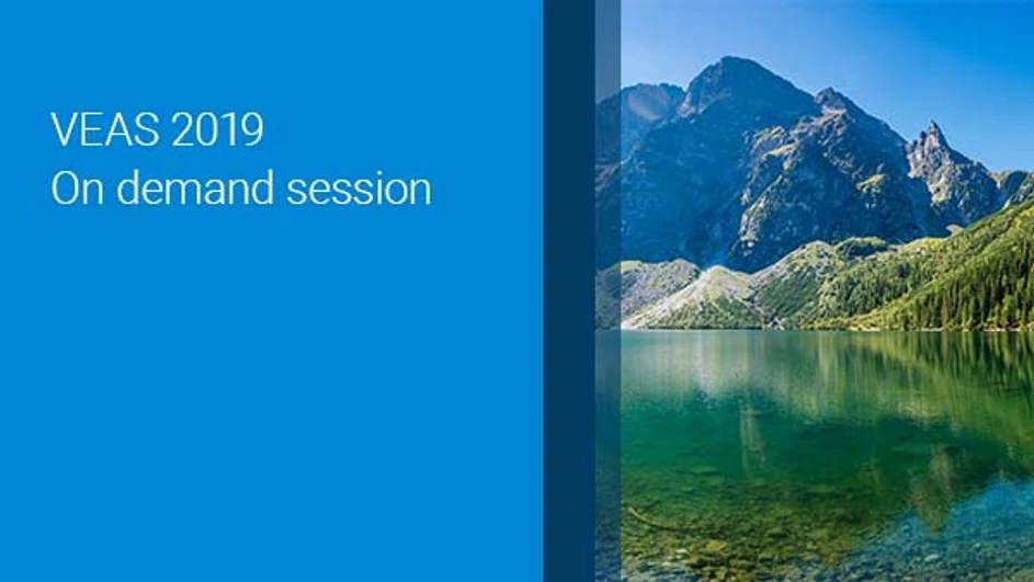 Virtual Environment Analysis Symposium 2019